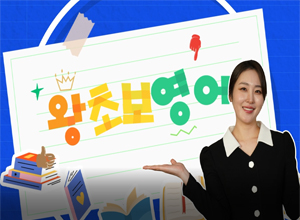 비디오3
